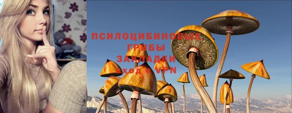 PSILOCYBIN Елабуга